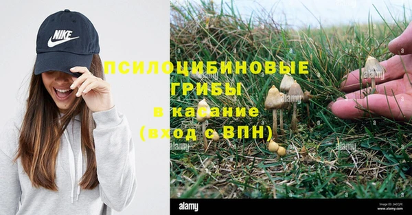 мет Богородицк