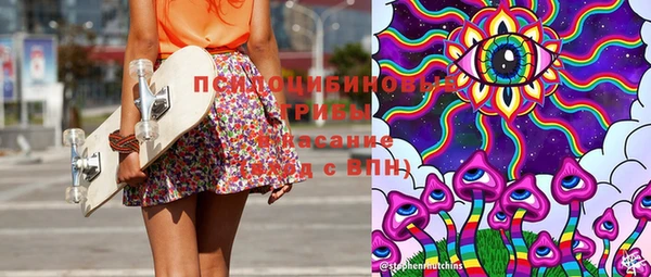 ГАЛЛЮЦИНОГЕННЫЕ ГРИБЫ Богородск