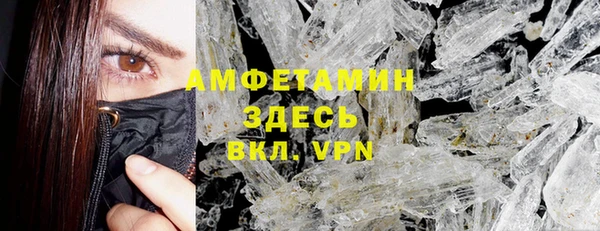гашиш Богданович