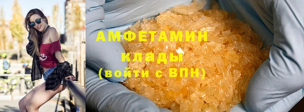 гашиш Богданович