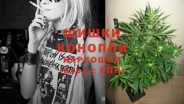 винт Белокуриха