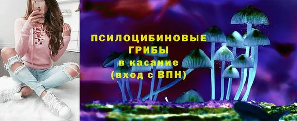ГАЛЛЮЦИНОГЕННЫЕ ГРИБЫ Богородск