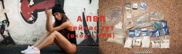 гашиш Богданович
